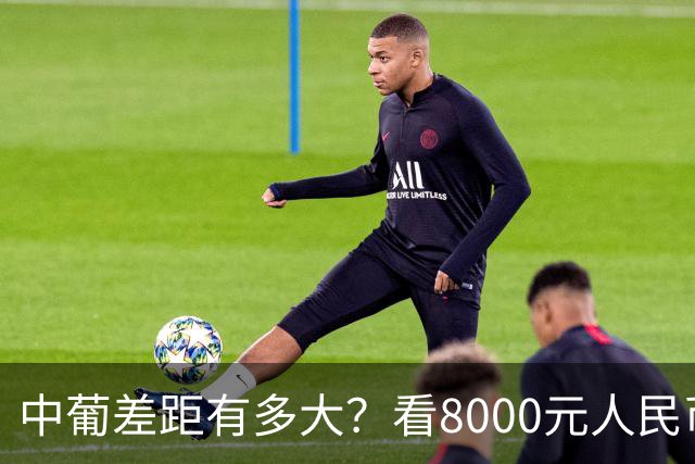 中葡差距有多大？看8000元人民币，在葡萄牙能享受几天就明白了！