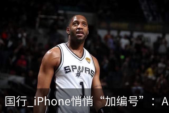 国行 iPhone悄悄“加编号”：Apple 智能 + 通义千问现身入网信息，苹果中文 AI 终于要落地？