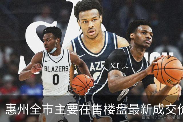 惠州全市主要在售楼盘最新成交价！（10月）